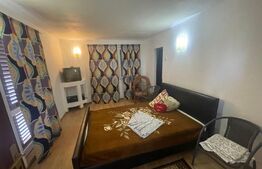 Casa de vacanta, 250mp casa, cartier Mitocu Dragomirnei