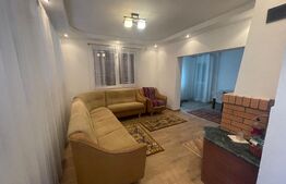 Casa de vacanta, 250mp casa, cartier Mitocu Dragomirnei