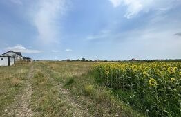 Teren intravilan 3200 mp parcelabil ,cota parte la drum privat,zona in plina dezvoltare Moara 