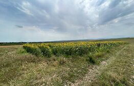 Teren intravilan 3200 mp parcelabil ,cota parte la drum privat,zona in plina dezvoltare Moara 