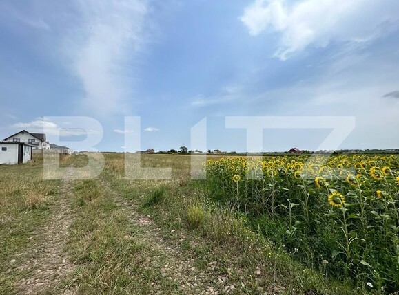 Teren de vânzare Moara - 121870TV | BLITZ Suceava | Poza1