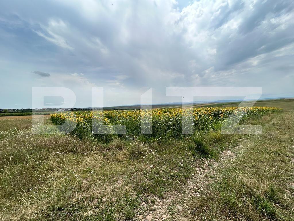 Teren de vânzare Moara - 121870TV | BLITZ Suceava | Poza2