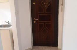 Microapartament, 30 mp, zona Catedrala