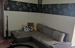 Apartament 2 camere, 100 mp, cartier Obcini