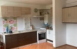 Apartament 2 camere, 50 mp, cartier Obcini