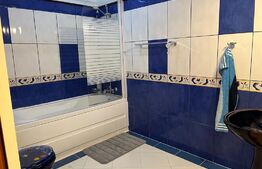 Casă canadiană cu hală in Ipotesti