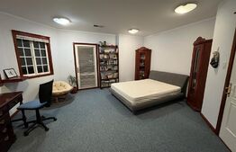 Casă canadiană cu hală in Ipotesti