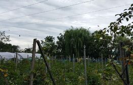 Casa individuala in zona Itcani de 136 mp utili și 1400 mp teren 