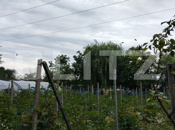 Casa de vânzare 4 camere Itcani - 123317CV | BLITZ Suceava | Poza11