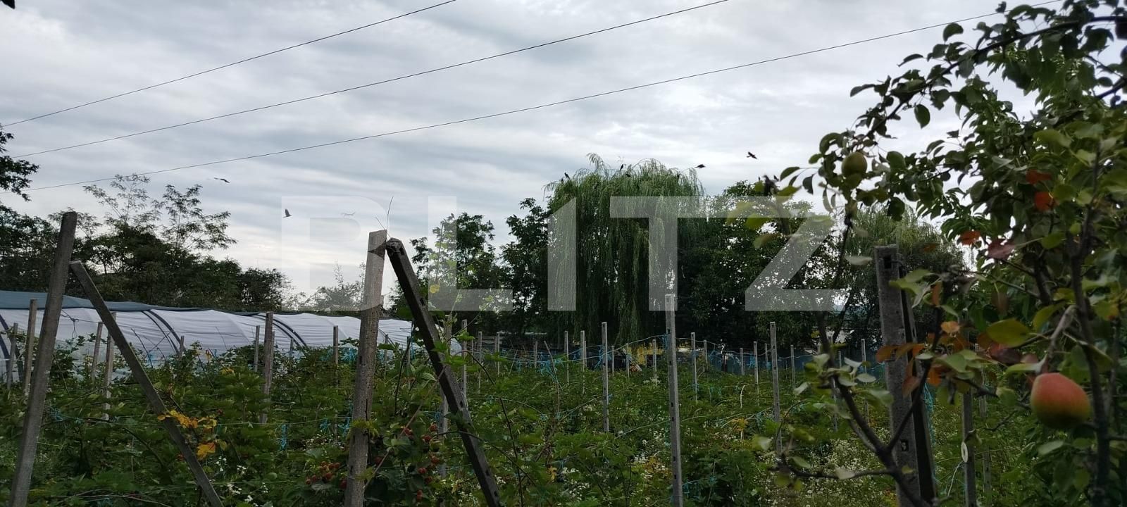 Casa de vânzare 4 camere Itcani - 123317CV | BLITZ Suceava | Poza11