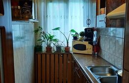 Apartament 2 camere, 41 mp, George Enescu