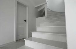 Casa de 120 mp, Moara 