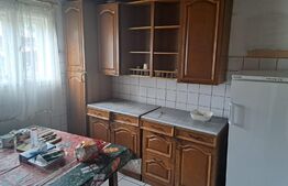 Casa si teren, 247mp, zona Gura Humorului