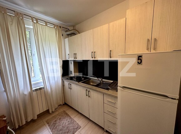 Apartament de vânzare 2 camere Ultracentral - 124041AV | BLITZ Suceava | Poza5
