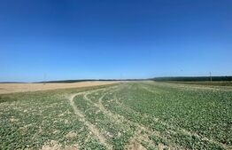 Teren, 5300mp, zona Mitocu Dragomirnei