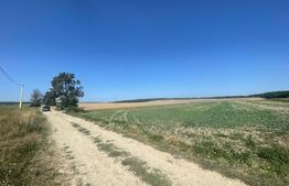 Teren, 5300mp, zona Mitocu Dragomirnei