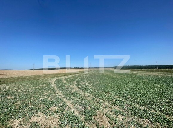 Teren de vânzare Mitocu Dragomirnei - 124298TV | BLITZ Suceava | Poza1