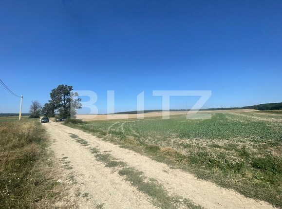 Teren de vânzare Mitocu Dragomirnei - 124298TV | BLITZ Suceava | Poza2