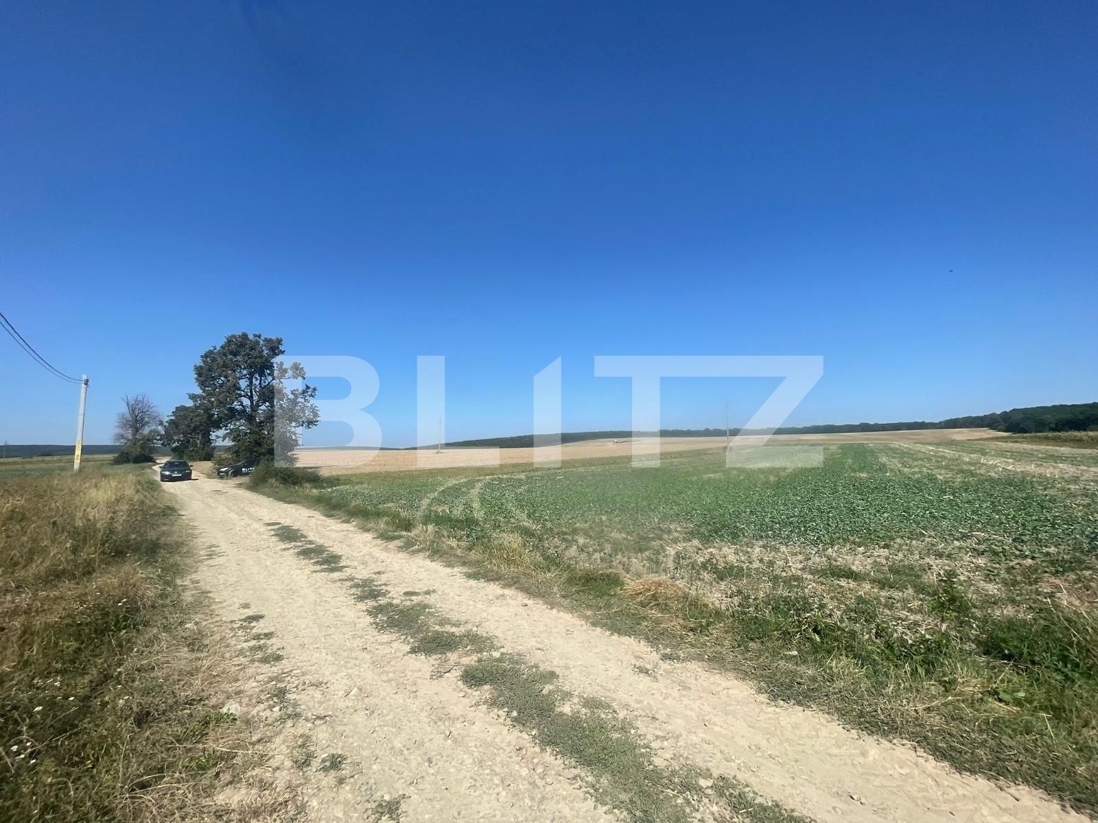 Teren de vânzare Mitocu Dragomirnei - 124298TV | BLITZ Suceava | Poza2