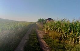 Teren de 7500 mp in Moara 