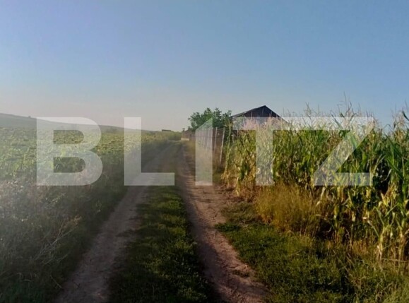 Teren de vânzare Moara - 124343TV | BLITZ Suceava | Poza1