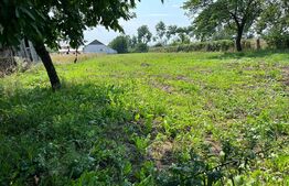 Teren intravilan, casa batraneasca, 2400 mp, cartier Lisaura