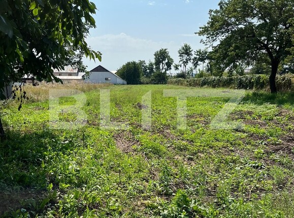 Teren de vânzare Lisaura - 124676TV | BLITZ Suceava | Poza5