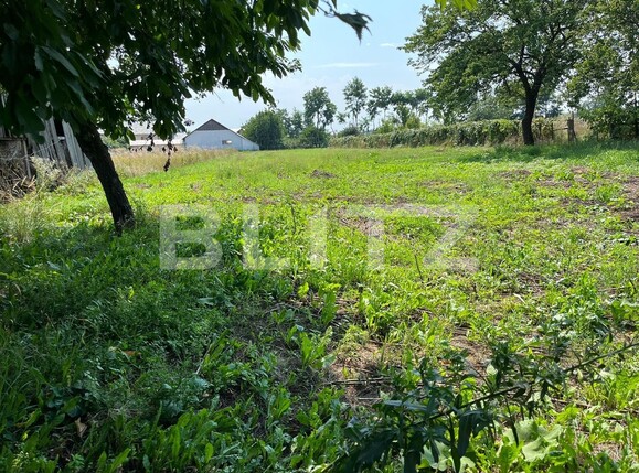Teren de vânzare Lisaura - 124676TV | BLITZ Suceava | Poza1
