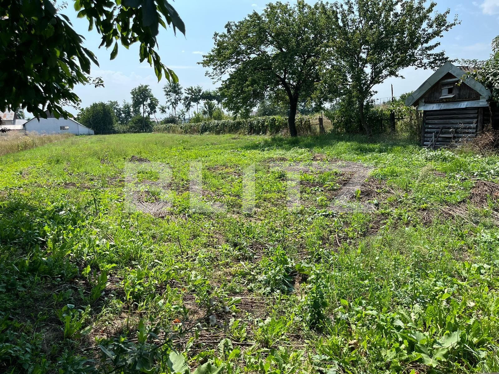 Teren de vânzare Lisaura - 124676TV | BLITZ Suceava | Poza4