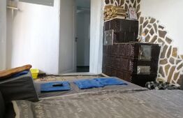 Casa in apropiere de Siret cu 6510 mp de teren