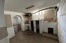 Spatiu comercial + locuibil, 387 mp utili, teren 317 mp