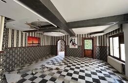 Spatiu comercial + locuibil, 387 mp utili, teren 317 mp