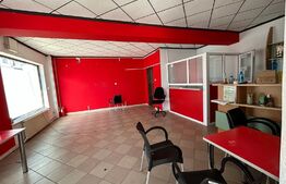 Spatiu comercial + locuibil, 387 mp utili, teren 317 mp