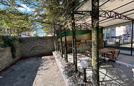 Spatiu comercial + locuibil, 387 mp utili, teren 317 mp