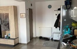 Apartament 2 camere, etaj intermediar, 55mp, cartier Ipotesti