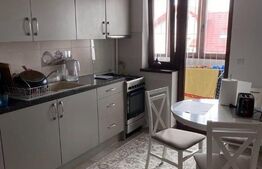 Apartament 2 camere, etaj intermediar, 55mp, cartier Ipotesti