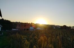 Teren intravilan de 745 mp in Moara