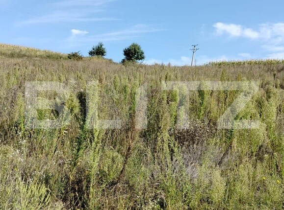 Teren de vânzare Moara - 125398TV | BLITZ Suceava | Poza2