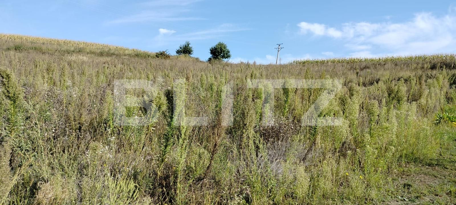 Teren de vânzare Moara - 125398TV | BLITZ Suceava | Poza2