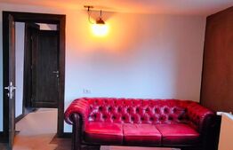 Spațiu ultracentral, 235mp, Rădăuți 