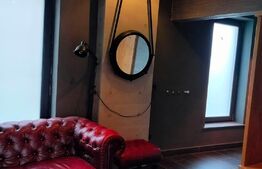 Spațiu ultracentral, 235mp, Rădăuți 