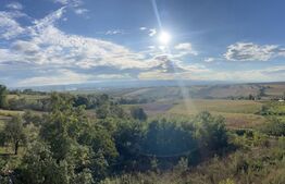 Casa 8 camere, 800mp, 1980mp teren 