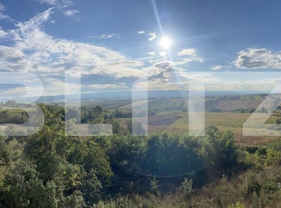 Casa de vânzare 8 camere Exterior Vest - 126378CV | BLITZ Suceava | Poza8