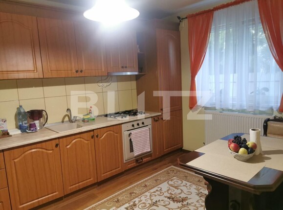 Casa de vânzare 3 camere Sfantu Ilie - 126904CV | BLITZ Suceava | Poza9