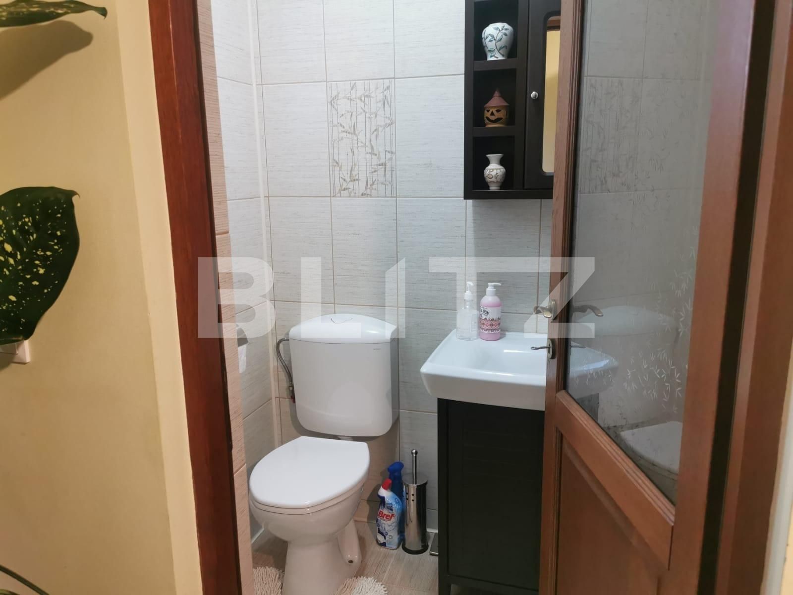 Casa de vânzare 3 camere Sfantu Ilie - 126904CV | BLITZ Suceava | Poza8