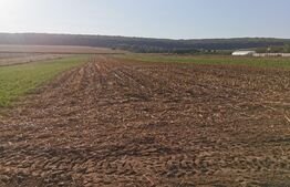 Teren intravilan, 5200 mp, zona Lipoveni