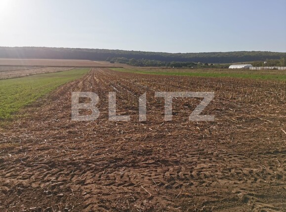 Teren de vânzare Mitocu Dragomirnei - 126990TV | BLITZ Suceava | Poza3