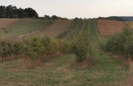 Teren cu livada, Hartop 5000 mp