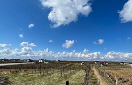 Teren cu livada, Hartop 5000 mp