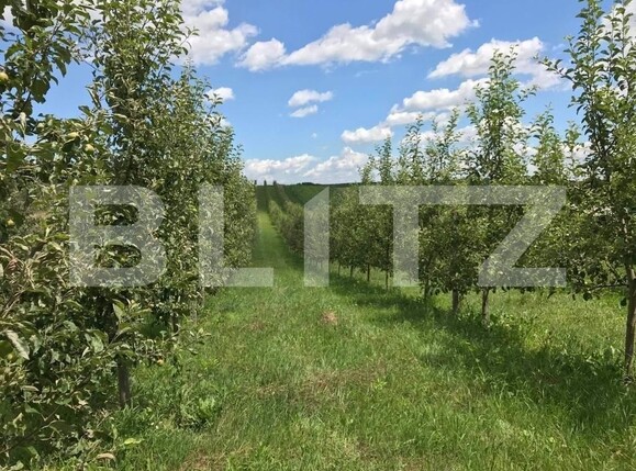 Teren de vânzare Exterior Est - 127028TV | BLITZ Suceava | Poza1